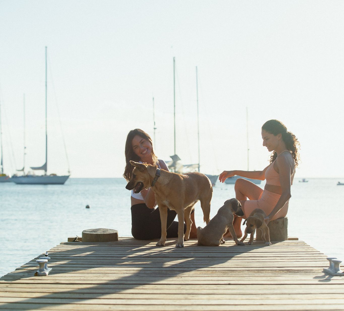 Yoga Antigua English Harbour Dogs and Cats Antigua Puppies Sustainable Activewear